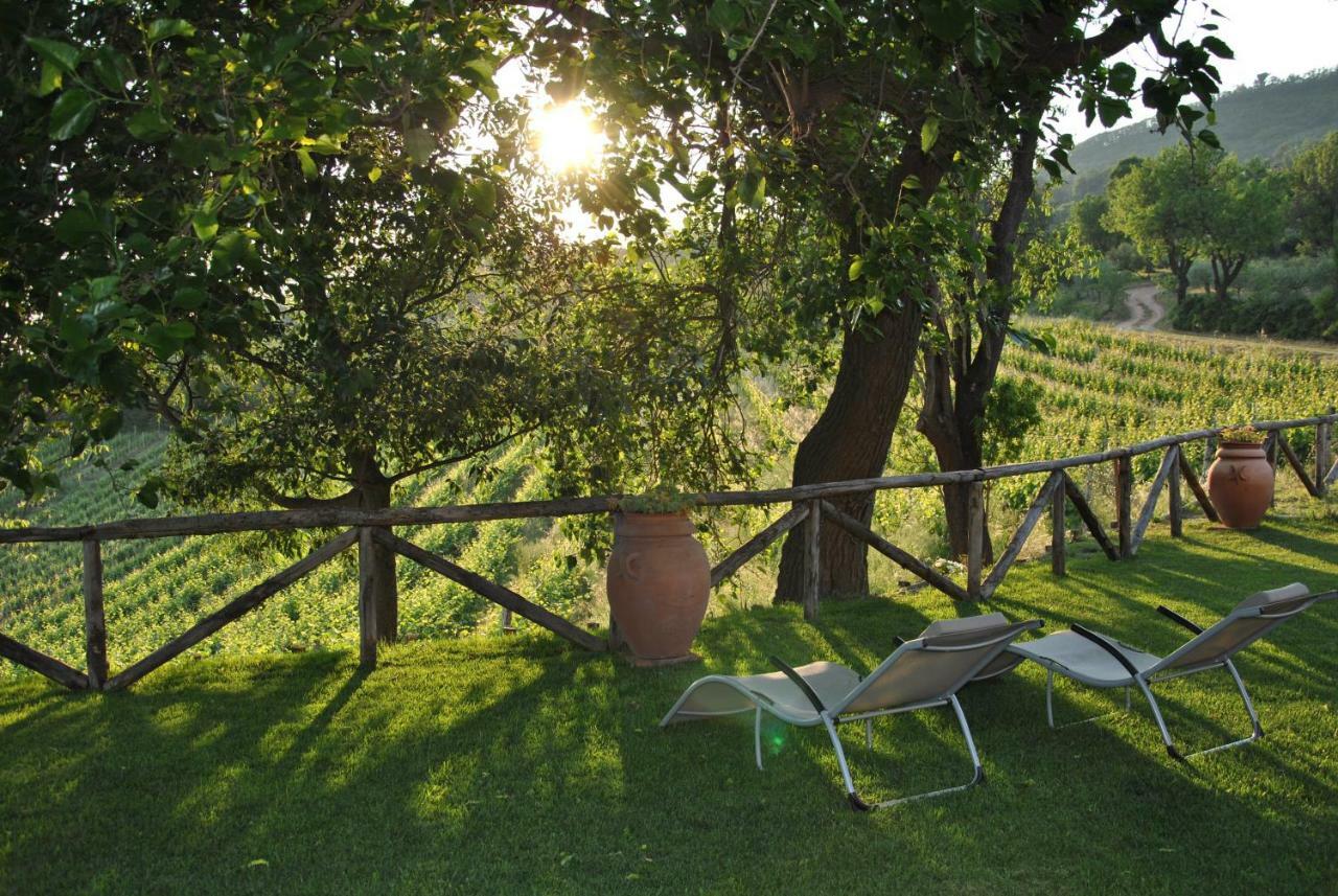 I Grilli B&B Baone Zewnętrze zdjęcie