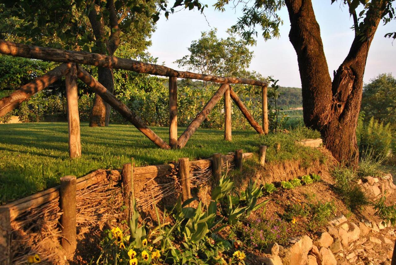I Grilli B&B Baone Zewnętrze zdjęcie